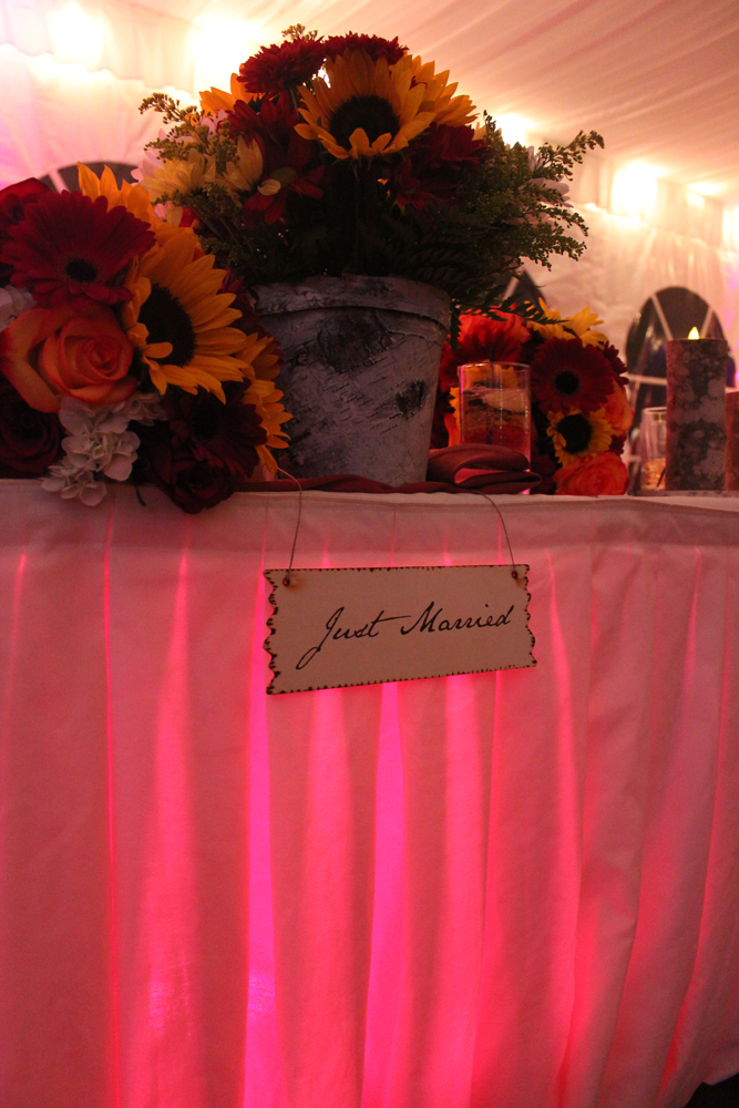 Wedding Wireless LED Uplighting Under Table Colonial Hotel Tent September 20, 2014 - 1